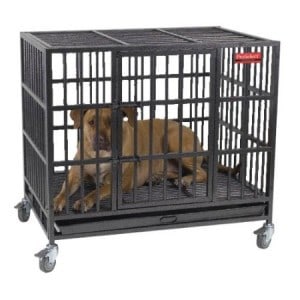 smithbuilt dog crate